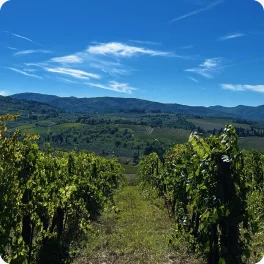 Hiked through Tuscany, Italy, photo 2